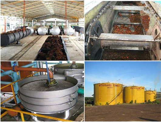 2 ton coconut peanut rapeseed oil refinery machine in tanzania