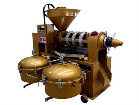 hot sale scale grape seed oil extraction machine in rwanda