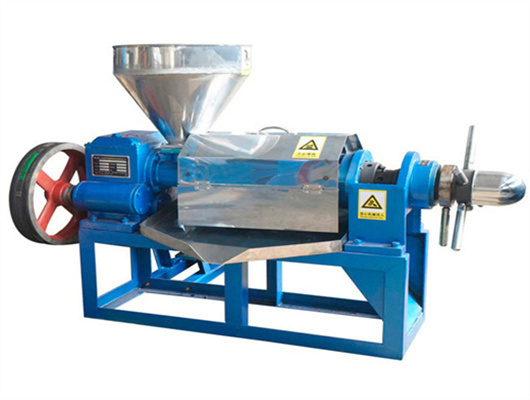 big promotion cold press oil press machine in thailand