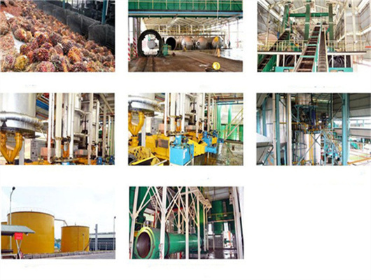 cotton seed oil refinery machine with plc system in lagos