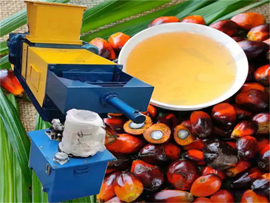 refine bleach and deodorized palm oil in congo