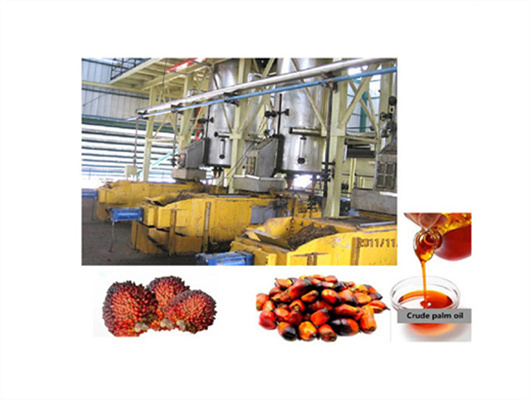 15t/d wide used cooking oil refining machine in ghana