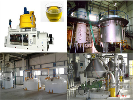 automatic prickly pear seed oil refinery plant in burundi