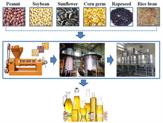 rapeseed oil refinery plant pressers machine in sudan