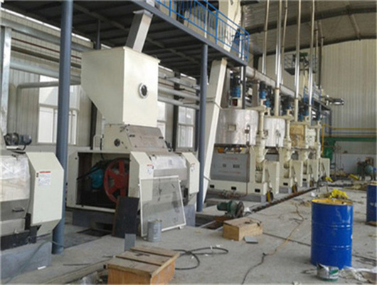 palm soybean soybean oil refining machine in addis ababa