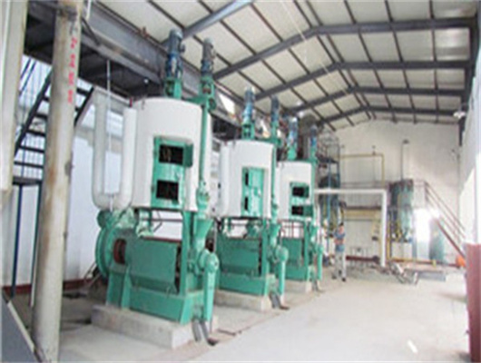 palm kernel oil extraction machine manufacturer in malaysia